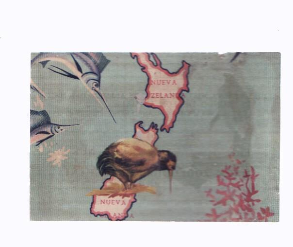 Cromos: de la Selva Misteriosa a los abismos del mar: numero 264: Mapa zoologico de Oceania, parte