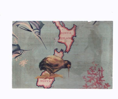 Cromos: de la Selva Misteriosa a los abismos del mar: numero 264: Mapa zoologico de Oceania, parte