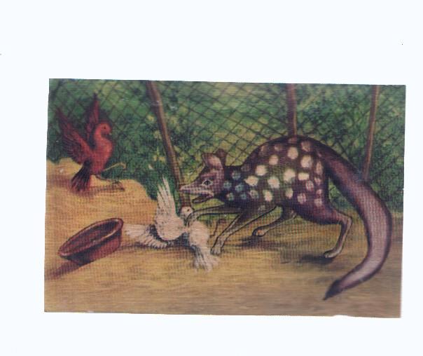 Cromos: de la Selva Misteriosa a los abismos del mar: numero 271: Con el llega el silencio, la muerte
