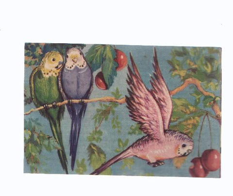Cromos: de la Selva Misteriosa a los abismos del mar: numero 275: Periquitos