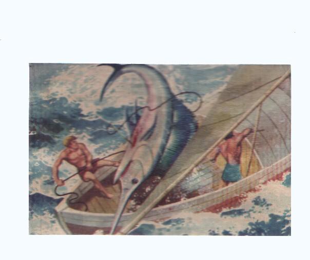 Cromos: de la Selva Misteriosa a los abismos del mar: numero 285: Pesca accidentada