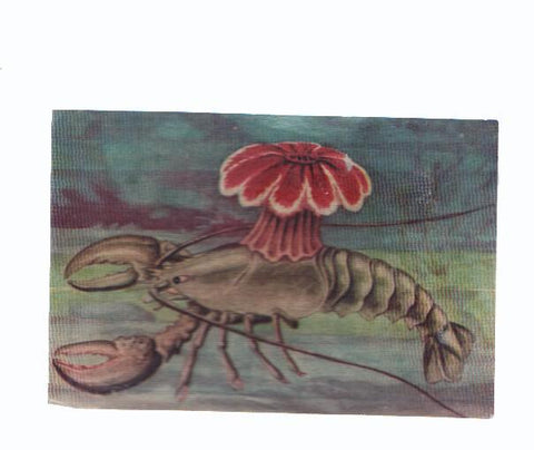Cromos: de la Selva Misteriosa a los abismos del mar: numero 287: Buena asociacion