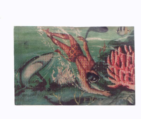 Cromos: de la Selva Misteriosa a los abismos del mar: numero 293: Aventura y accion en los fondos marinos