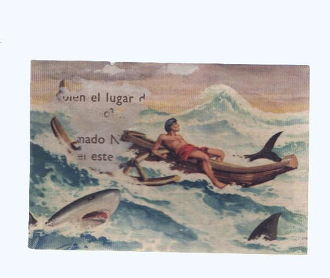 Cromos: de la Selva Misteriosa a los abismos del mar: numero 294: Navegacion pintoresca