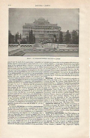 LAMINA ESPASA 20937: Palacio del Maharaja en Jaipur India