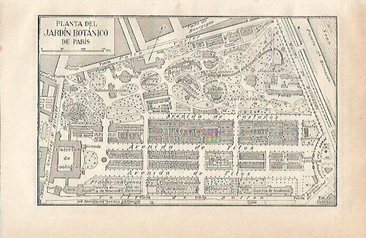 LAMINA ESPASA 20986: Planta del Jardin Botanico de Paris