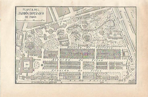LAMINA ESPASA 20986: Planta del Jardin Botanico de Paris