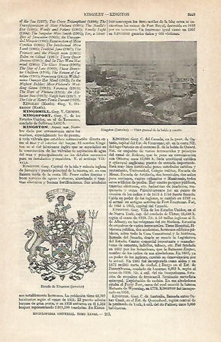 LAMINA ESPASA 21173: Bahia de Kingston Jamaica