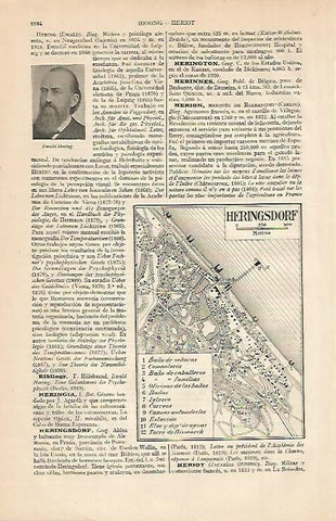 LAMINA ESPASA 651: Plano de Herisgsdorf Alemania