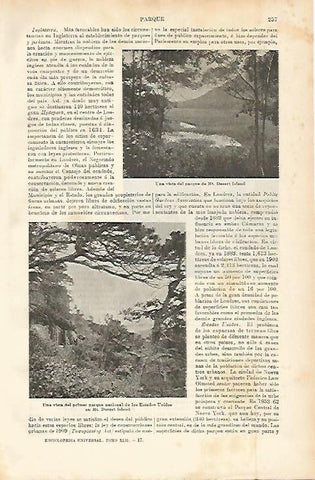 LAMINA ESPASA 2306: Parque Mt. Desert Island Estados Unidos