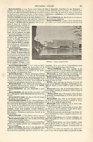 LAMINA ESPASA Alemania 4937: Ayuntamiento de Mulheim Alemania