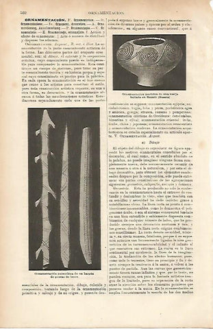 LAMINA ESPASA 7721: Harpon paleolitico