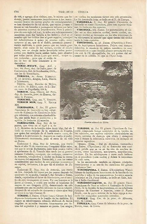 LAMINA ESPASA 8512: Puente sobre el rio Tiribi Costa Rica