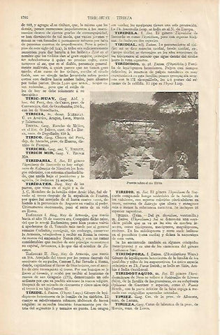 LAMINA ESPASA 8512: Puente sobre el rio Tiribi Costa Rica