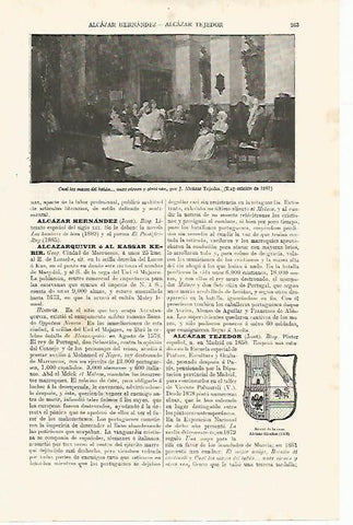 LAMINA ESPASA 9964: Cuadro de Alcazar Tejedor