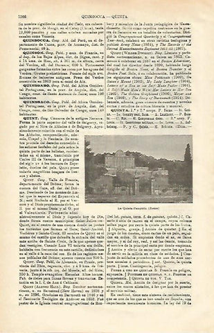 LAMINA ESPASA 20739: La Quinta Pamphili en Roma