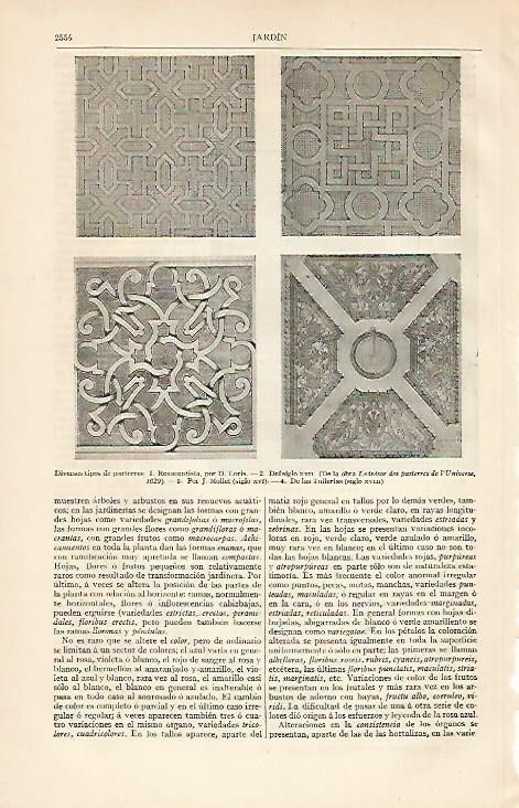 LAMINA ESPASA 6175: Tipos de parterres