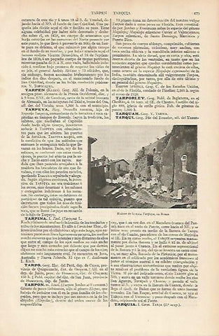 LAMINA ESPASA 6508: Ruinas de la roca Tarpeya en Roma