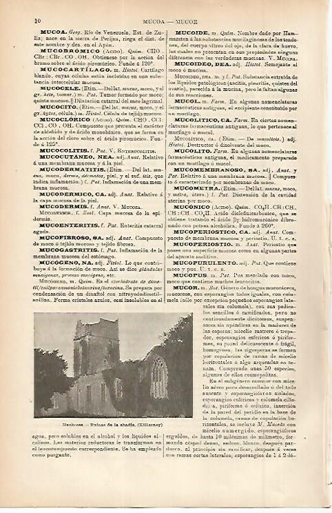 LAMINA ESPASA 11425: Ruinas de la Abadia de Muckross Irlanda