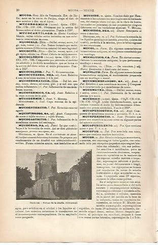 LAMINA ESPASA 11425: Ruinas de la Abadia de Muckross Irlanda