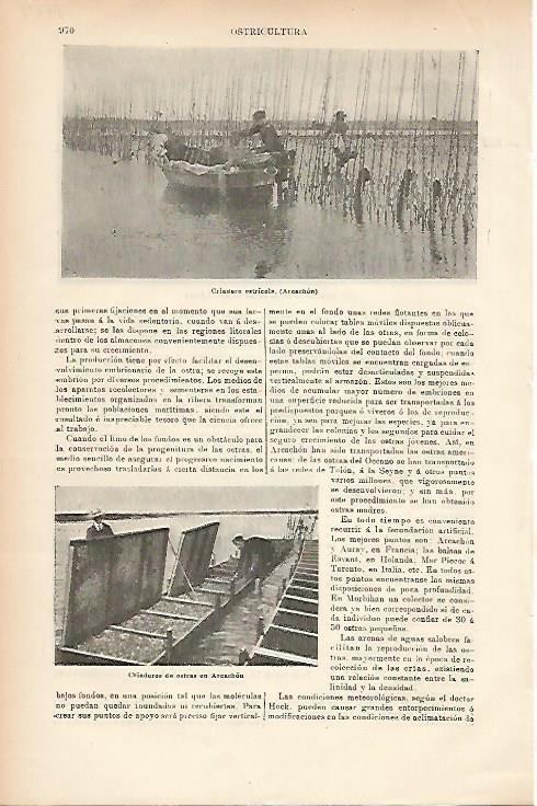 LAMINA ESPASA 7779: Criadero de ostras en Arcachon Francia