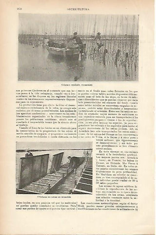 LAMINA ESPASA 7779: Criadero de ostras en Arcachon Francia