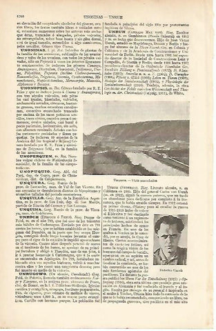 LAMINA ESPASA 12170: Vista panoramica de Unquera Santander