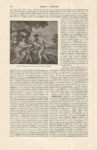LAMINA ESPASA 19224: Romulo y Remo por Pedro de Cortona