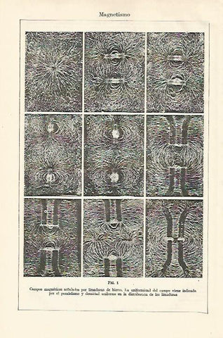 LAMINA ESPASA 18504: Magnetismo