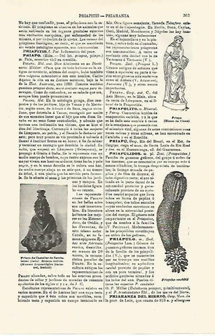 LAMINA ESPASA 16761: Priapo de Castellar de Santiesteban Jaen