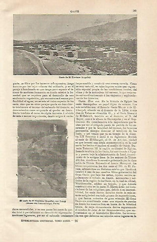 LAMINA ESPASA 21228: Oasis de El Kantara en Argelia