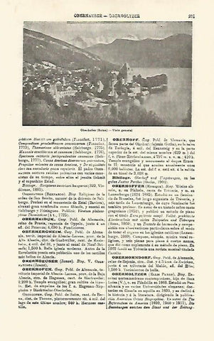 LAMINA ESPASA 21236: Vista de Oberhofen Suiza