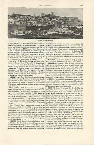 LAMINA ESPASA 21241: Vista de Obidos Brasil