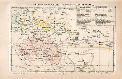 LAMINA ESPASA 21283: Distribucion geografica de los animales en Oceania
