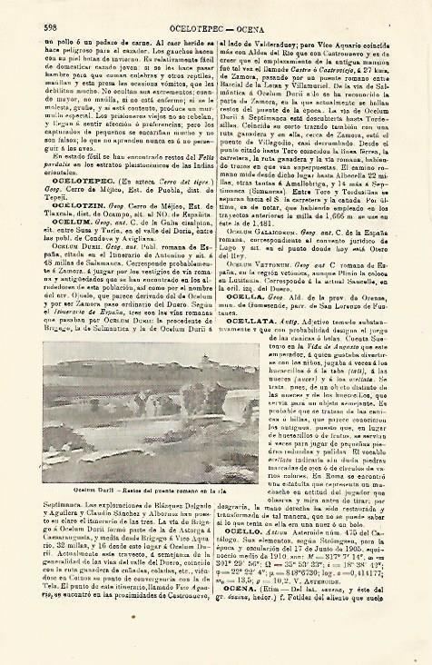 LAMINA ESPASA 21305: Ocelum Duril Salamanca