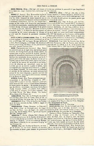 LAMINA ESPASA 21312: Iglesia de Odeille Francia