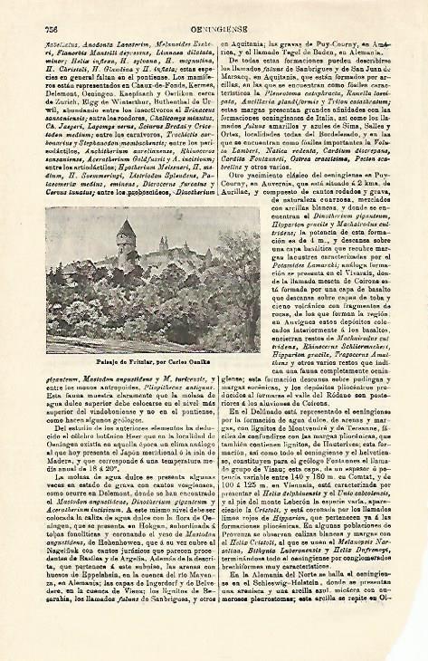 LAMINA ESPASA 21322: Paisaje de Fritzlar por Oenike