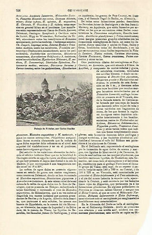 LAMINA ESPASA 21322: Paisaje de Fritzlar por Oenike
