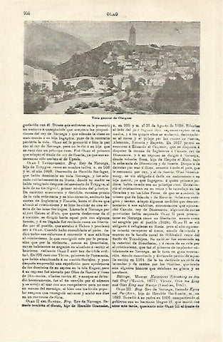 LAMINA ESPASA 21352: Vista de Olargnes Francia