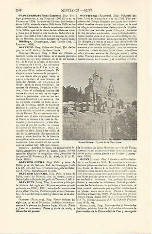 LAMINA ESPASA 21376: Monte Olivete
