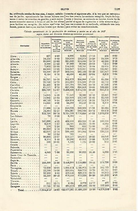 LAMINA ESPASA 21382: Produccion de aceituna en 1917