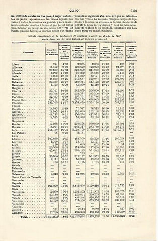 LAMINA ESPASA 21382: Produccion de aceituna en 1917