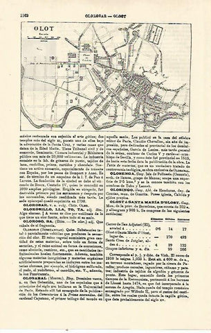 LAMINA ESPASA 21389: Plano de Olot Girona