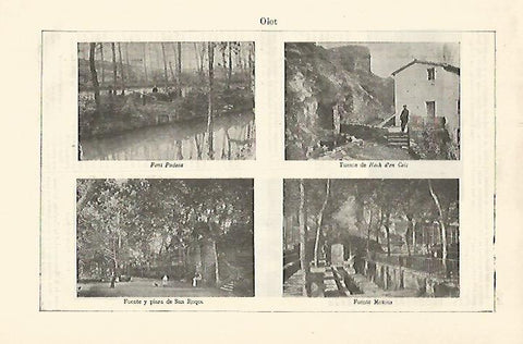 LAMINA ESPASA 21391: Vistas de Olot Girona