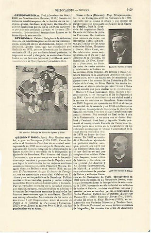 LAMINA ESPASA 21425: El abuelo dibujo de R. Opisso