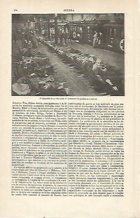 LAMINA ESPASA 21468: Transporte de heridos de guerra en Cambray