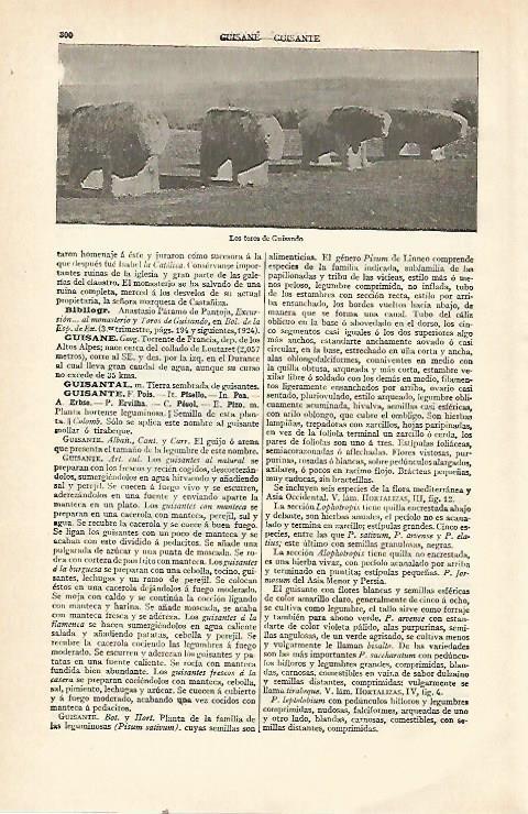 LAMINA ESPASA 21505: Los Toros de Guisando