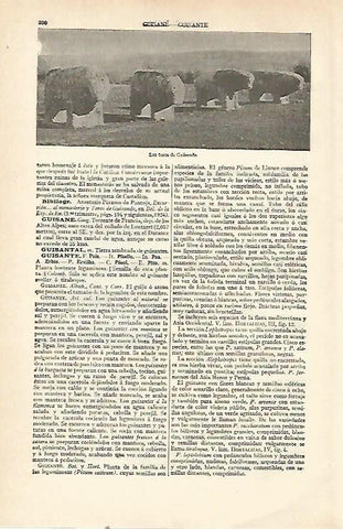 LAMINA ESPASA 21505: Los Toros de Guisando