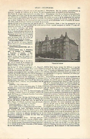 LAMINA ESPASA 21512: Palacio de Gustrow Alemania