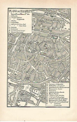 LAMINA ESPASA 21519: Plano de Haarlem